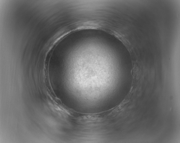 X0000053080338200507251531