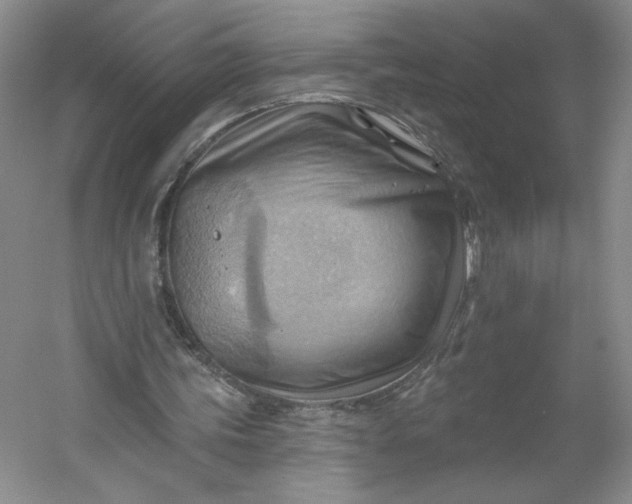 X0000053080339200507251531