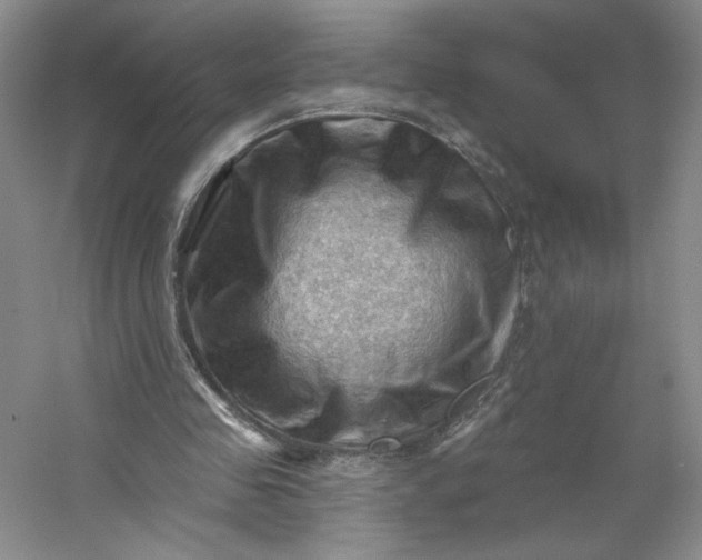 X0000053080341200507251531
