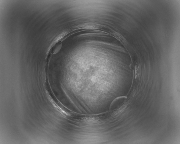 X0000053080349200507251532