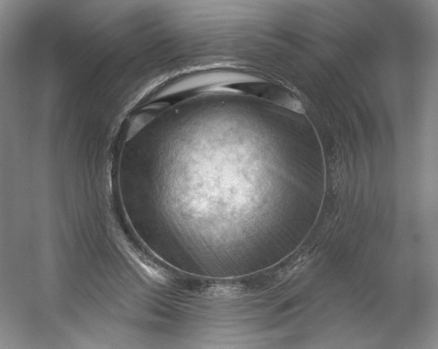 X0000053080350200507251532