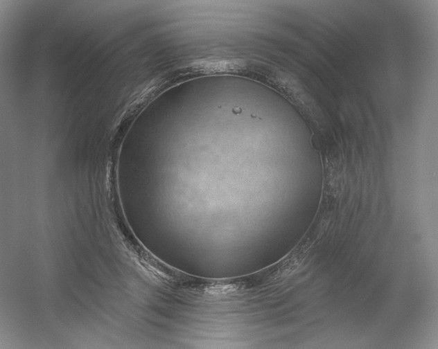 X0000053080357200507251532