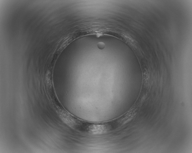 X0000053080361200507251532