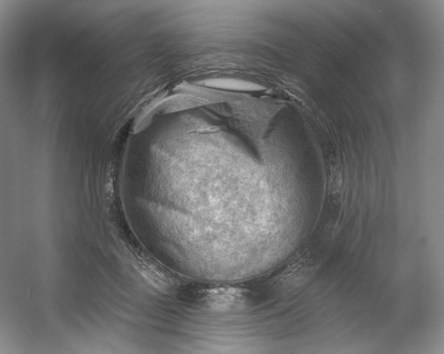X0000053080363200507251532