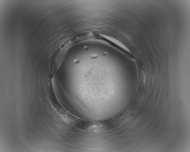 X0000053080364200507251532