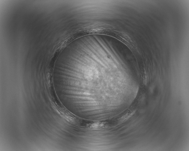 X0000053080366200507251532