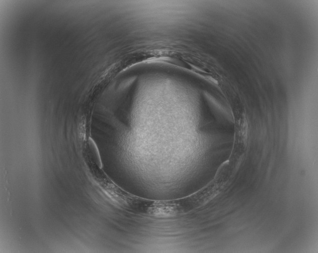 X0000053080368200507251532