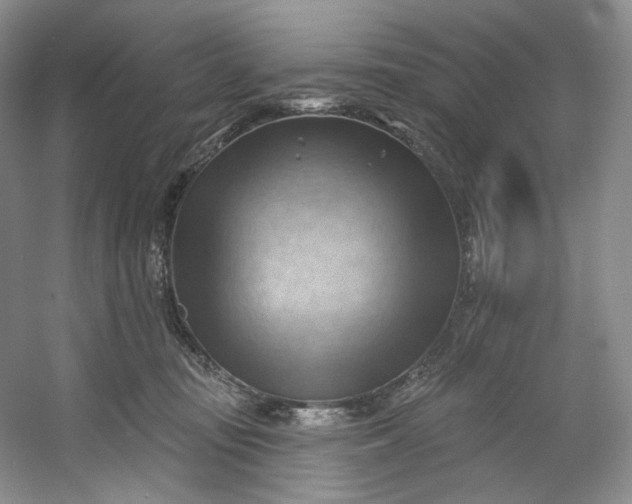X0000053080371200507251532