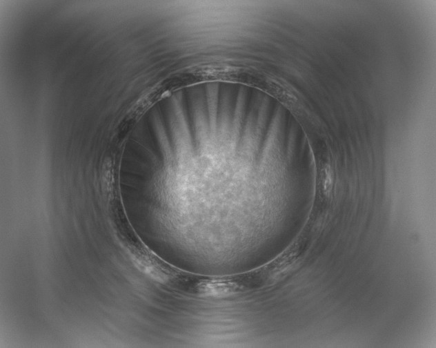 X0000053080372200507251532