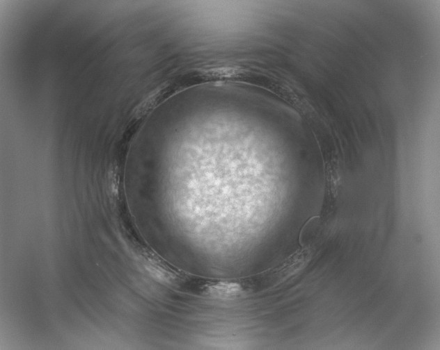 X0000053080374200507251532