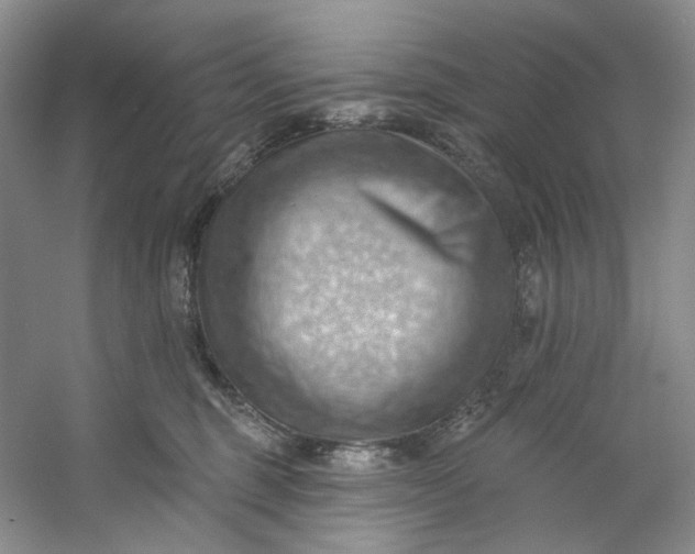 X0000053080375200507251532