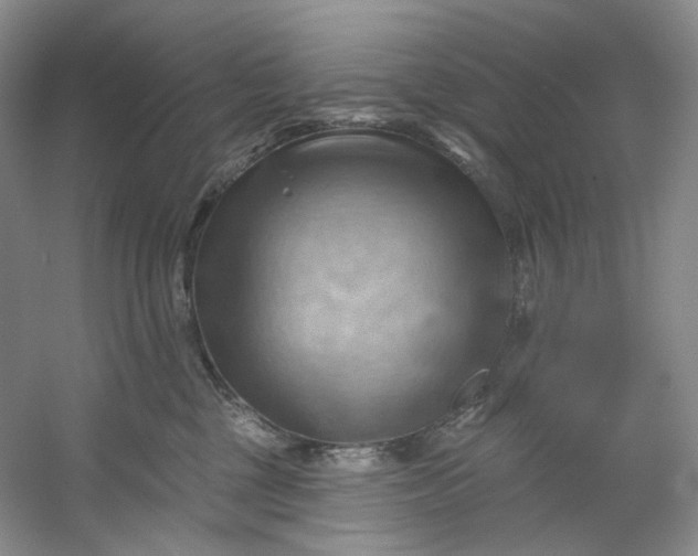 X0000053080377200507251532