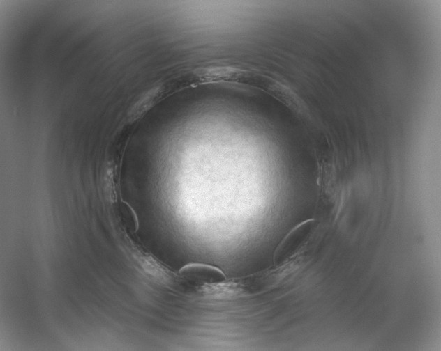 X0000053080378200507251532