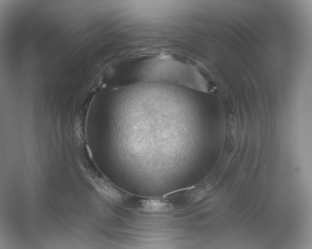 X0000053080380200507251532