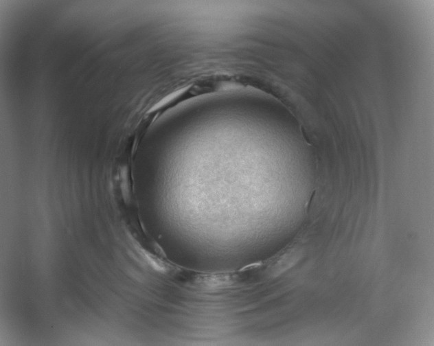 X0000053080384200507251532