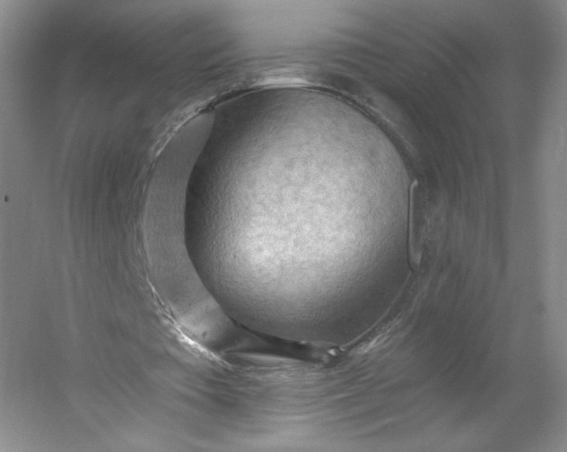 X0000053080385200507251531