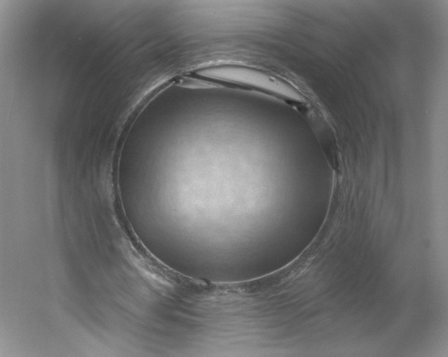 X0000053080386200507251531