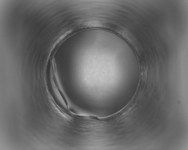 X0000053080390200507251531