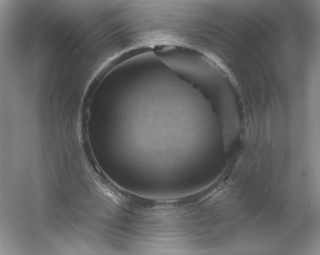 X0000053080391200507251531