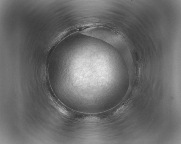 X0000053080397200507251531