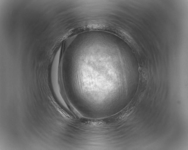 X0000053080401200507251531