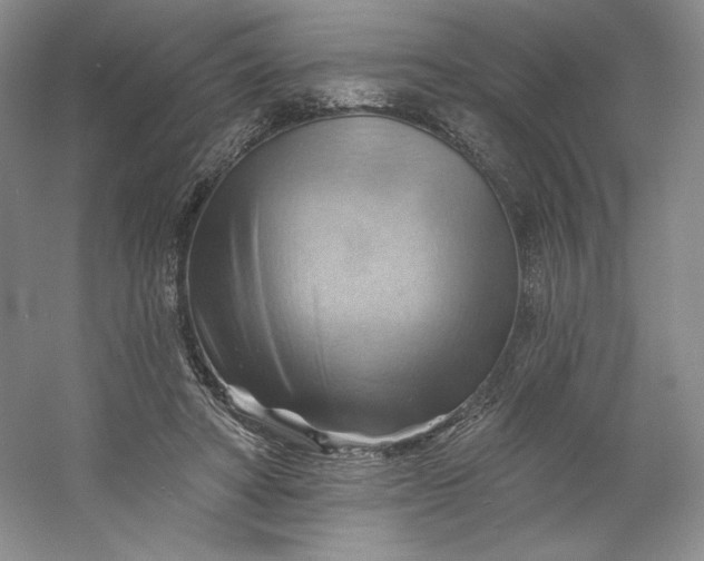 X0000053080402200507251531