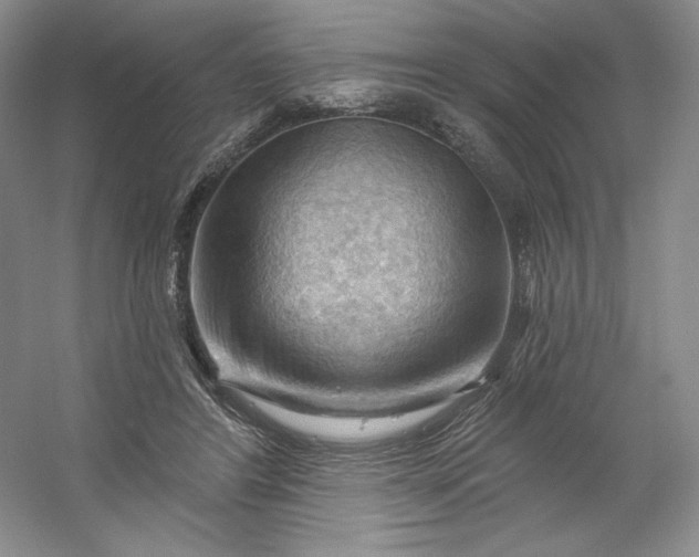 X0000053080404200507251531