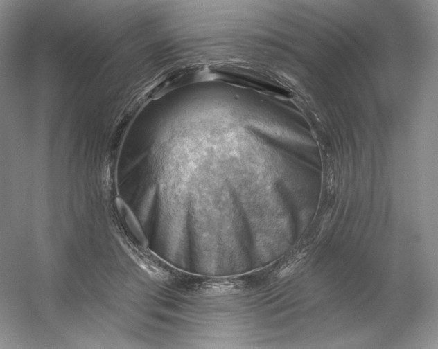 X0000053080405200507251531
