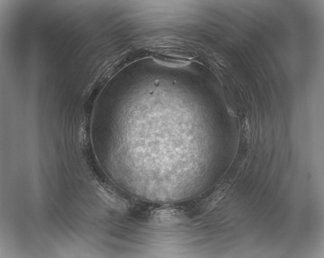 X0000053080408200507251531