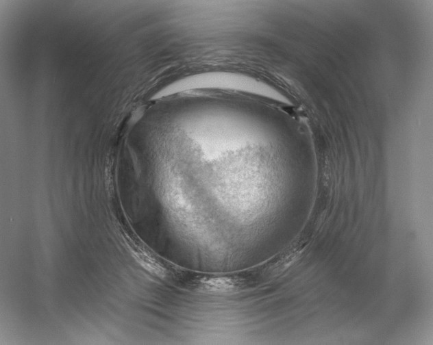 X0000053080409200507251531