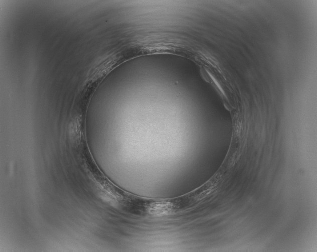 X0000053080410200507251531