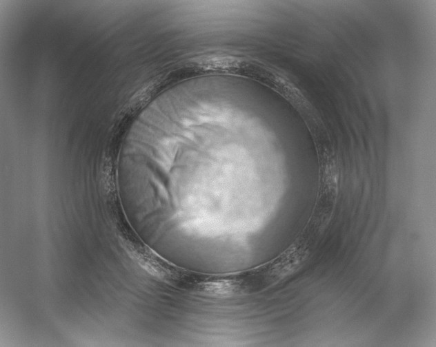 X0000053080411200507251531