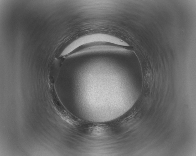 X0000053080412200507251531