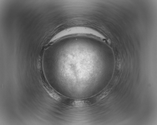 X0000053080413200507251531