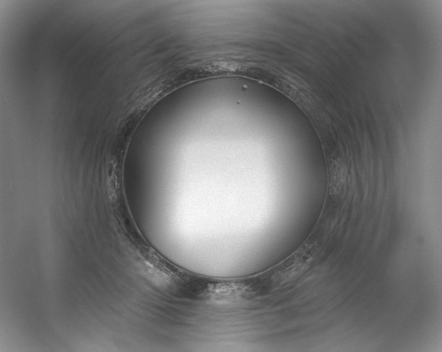 X0000053080414200507251531