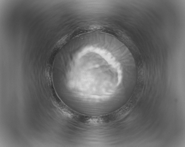 X0000053080415200507251531