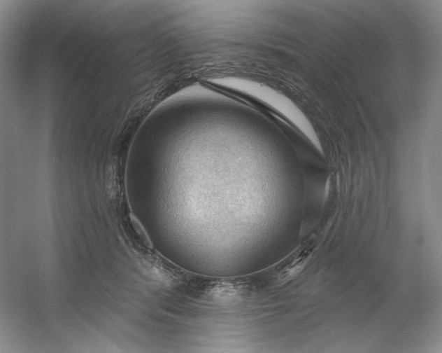 X0000053080416200507251531