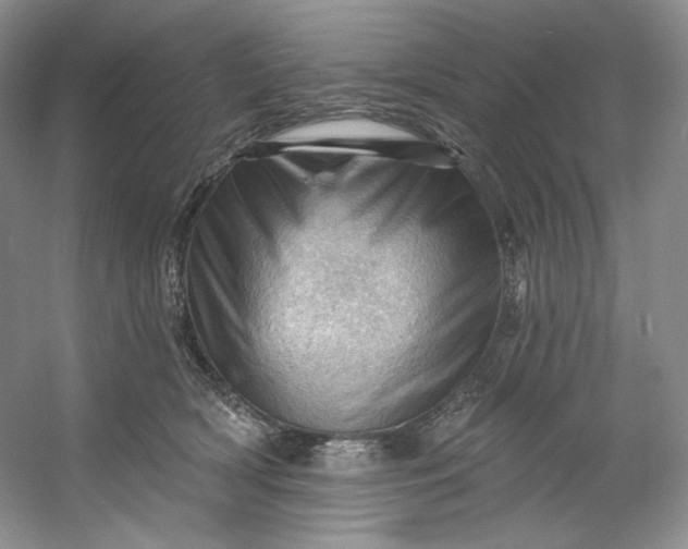 X0000053080418200507251531