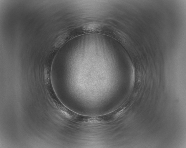 X0000053080420200507251531