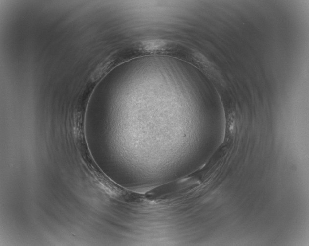 X0000053080421200507251531