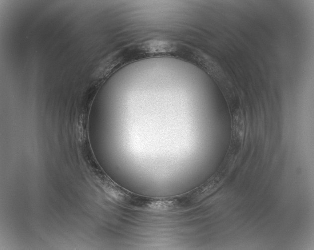 X0000053080422200507251531