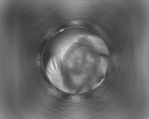 X0000053080423200507251531