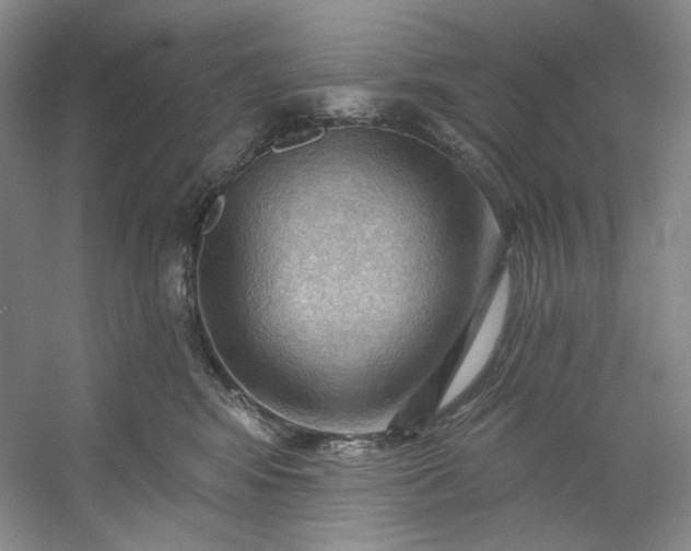 X0000053080424200507251531