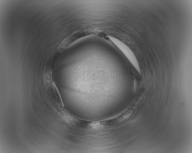 X0000053080425200507251531