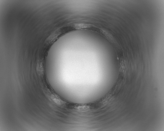 X0000053080426200507251531
