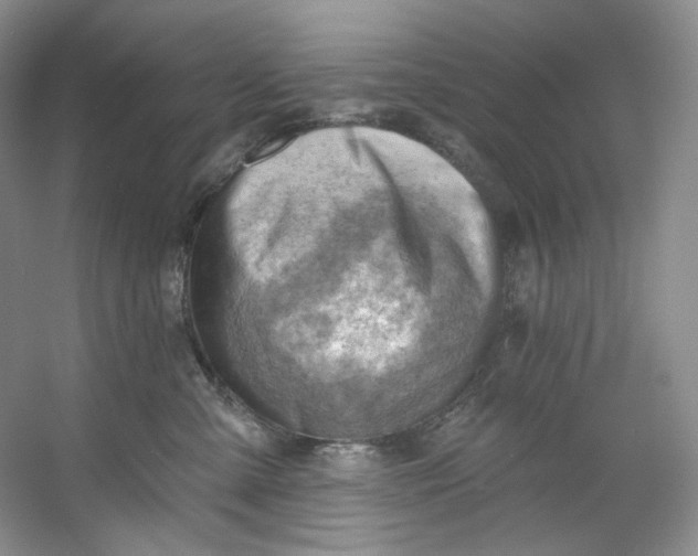 X0000053080427200507251531