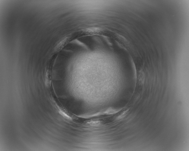 X0000053080428200507251531