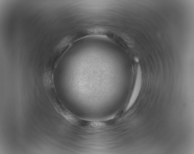 X0000053080429200507251531