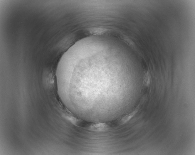 X0000053080431200507251531
