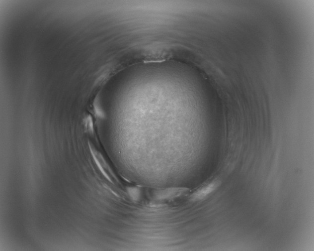 X0000053080432200507251531